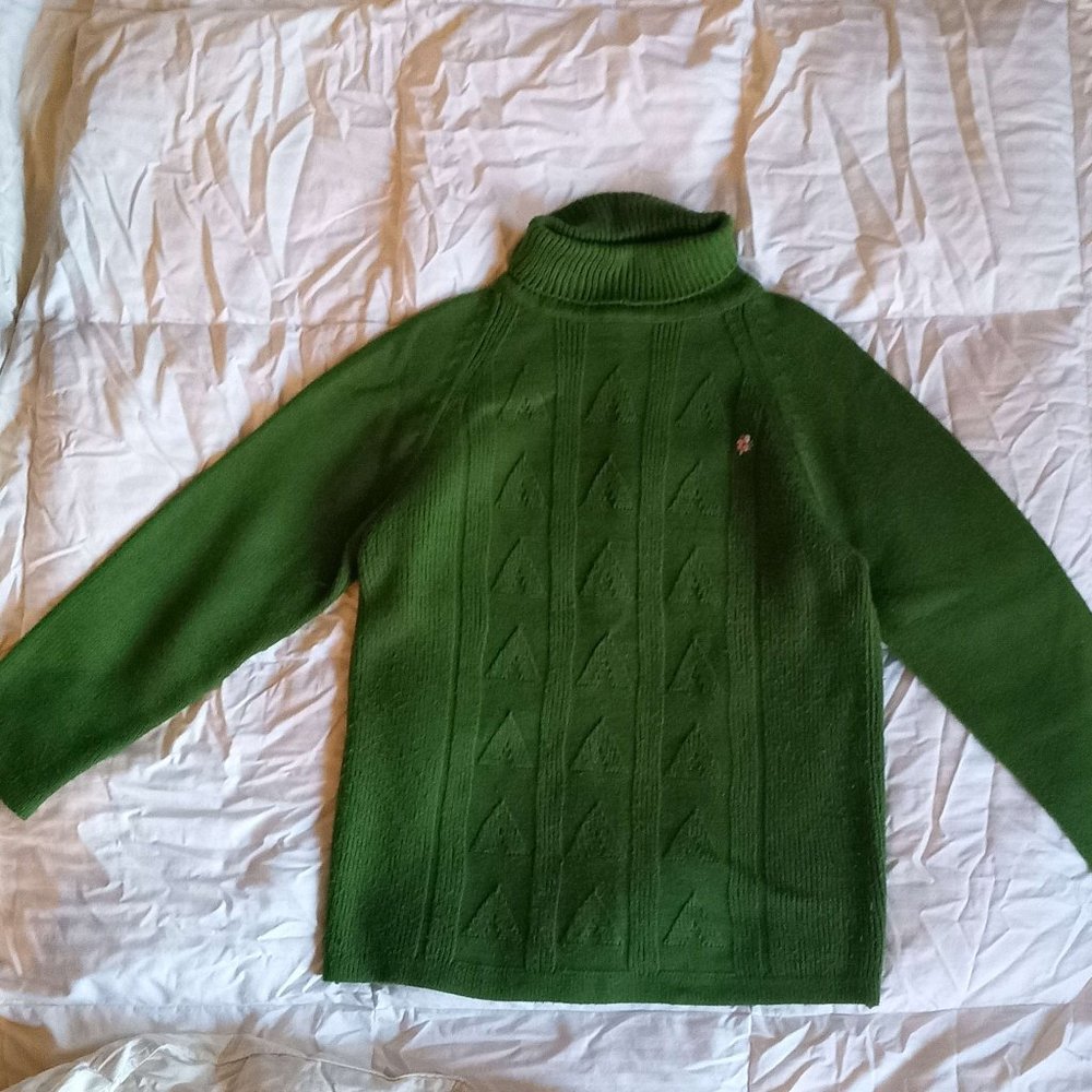 Beautiful Green Petronelli Sweater Size M